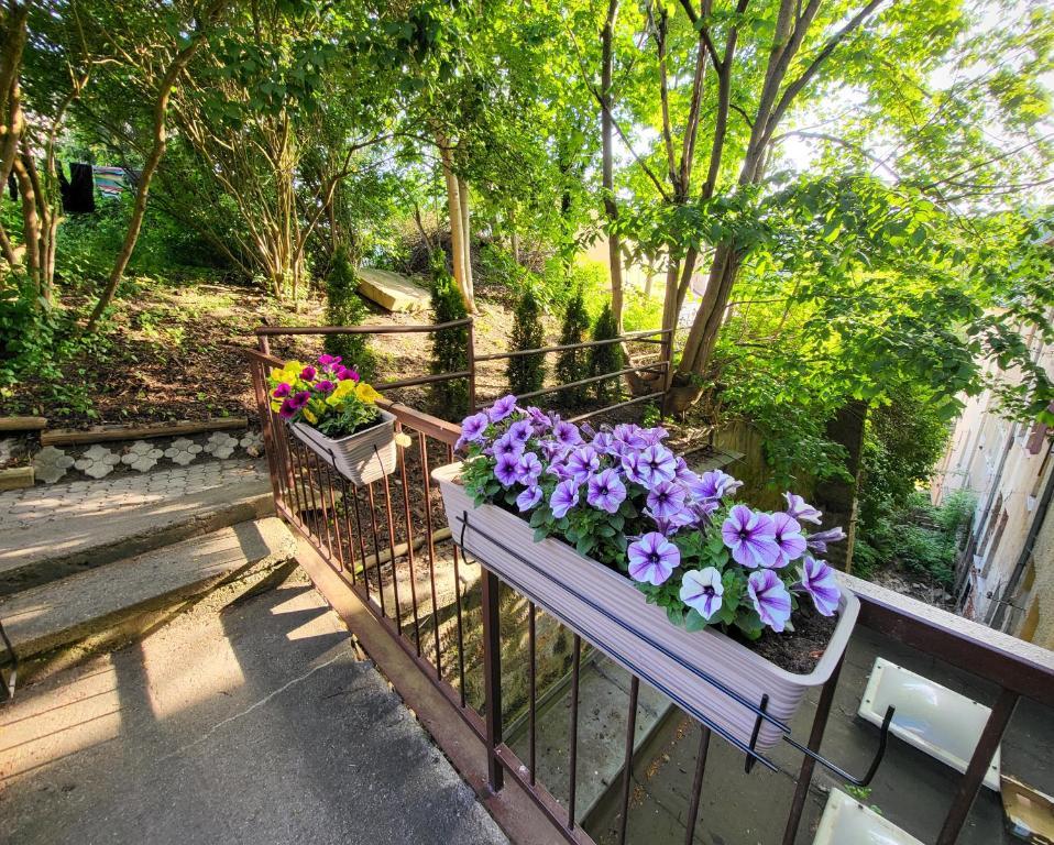 Excellent Apartments In Spa City Center 5 Min Walk From The Colonnade KLV Exterior foto